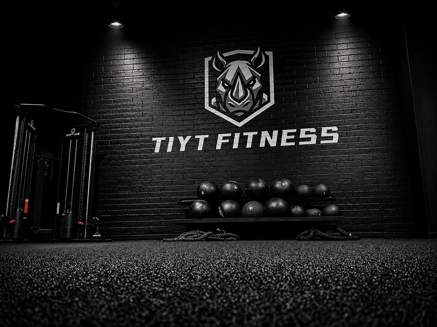 The TIYT Fitness rhino logo and lettering painted on a black brick wall, with a rack of medicine balls and battle ropes on the floor below and a cable machine at the left edge.